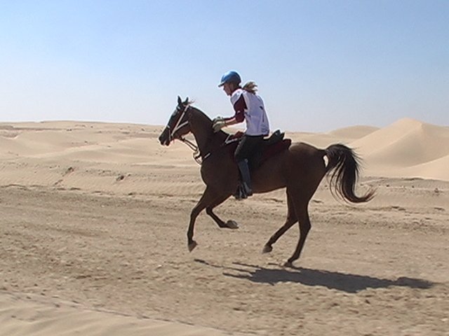 07 02 11 030.JPG
