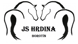 JS Hrdina Borotn
